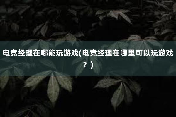 电竞经理在哪能玩游戏(电竞经理在哪里可以玩游戏？)