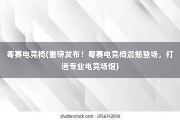 粤赛电竞椅(重磅发布！粤赛电竞椅震撼登场，打造专业电竞场馆)